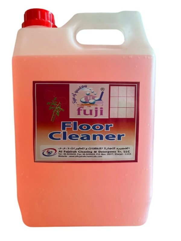 Fuji Floor Cleaner